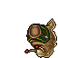 Tiger Slug